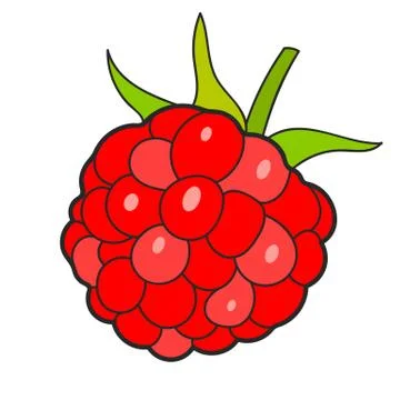 Raspberry Sketch Vector Ready For Your Design, Greeting Card Stock Illustration
