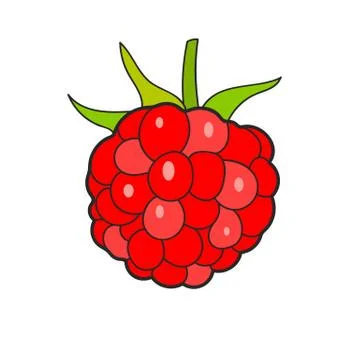 Raspberry Sketch Vector Ready For Your Design, Greeting Card Illustrazione stock