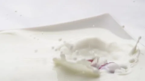 Raspberry splashing in to the milk. Vidéo 145813398