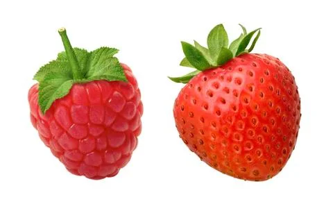 Raspberry strawberry isolated Stock Photos