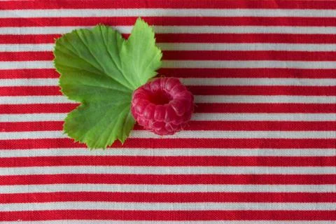 Raspberry on stripted red cloth Stock Photos