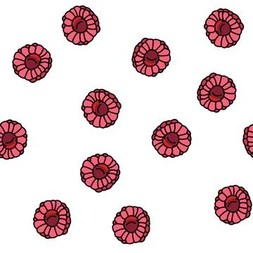 Raspberry summer juicy vector seamless pattern Stock Illustration
