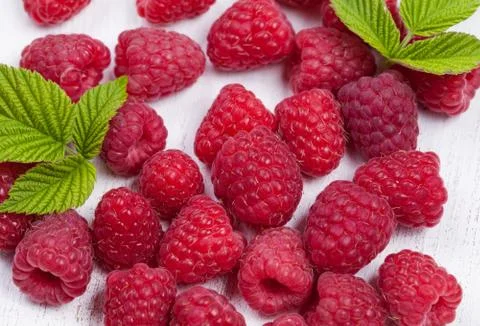 Raspberry super food on white background Stock Photos