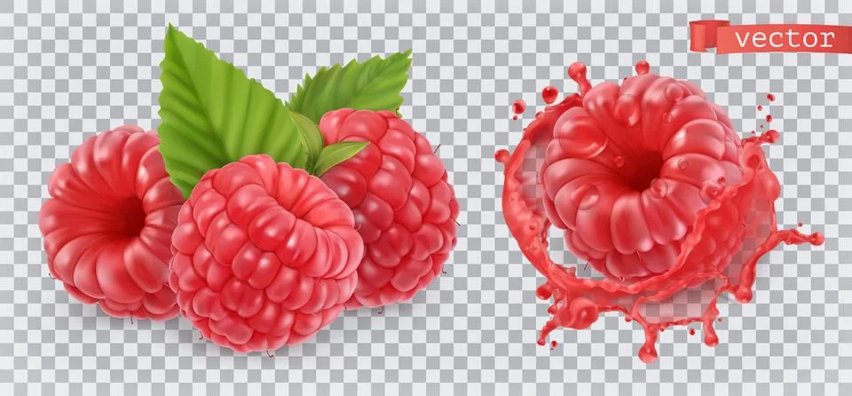 Raspberry. Sweet fruit. 3d realistic vector icon Stock Illustration