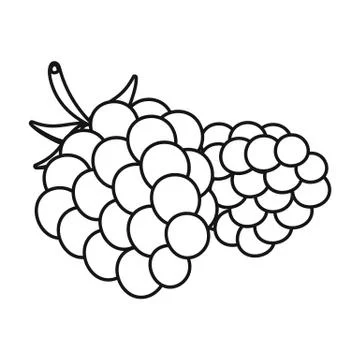 Raspberry, sweet fruit.Fruit single icon in outline style vector symbol stock Illustrazione stock