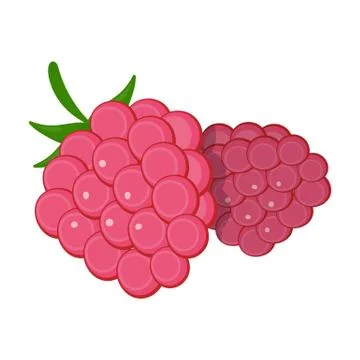 Raspberry, sweet fruit.Fruit single icon in cartoon style vector symbol stock Stock Illustration