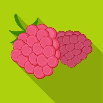 Raspberry, sweet fruit.Fruit single icon in flat style vector symbol stock Illustrazione stock
