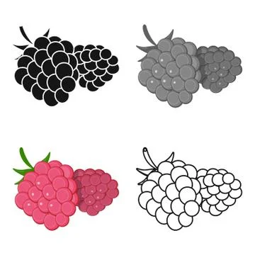 Raspberry, sweet fruit.Fruit single icon in cartoon style vector symbol stock イラスト素材