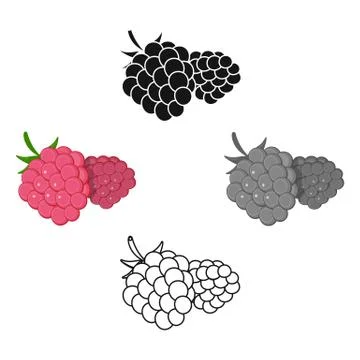Raspberry, sweet fruit.Fruit single icon in cartoon style vector symbol stock イラスト素材