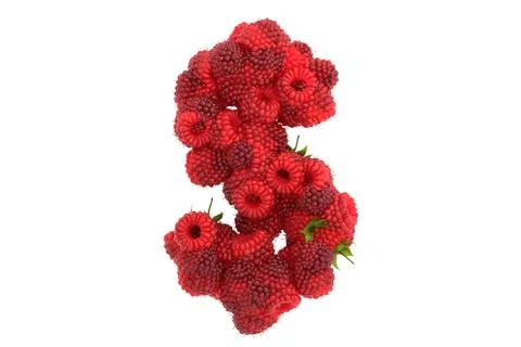 Raspberry symbol $ on white background Stock Illustration