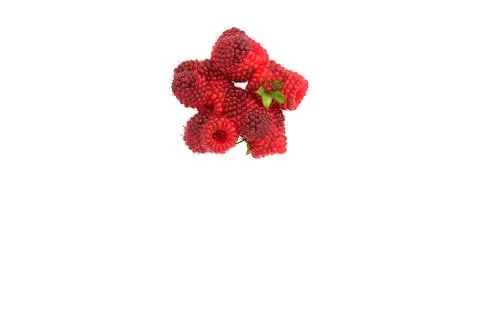 Raspberry symbol * on white background Stock Illustration