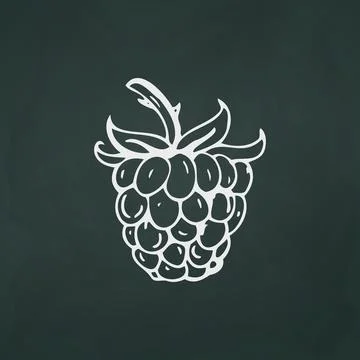 Raspberry thin white lines on a textural dark background - Vector Illustrazione stock