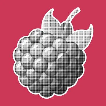 Raspberry. Trendy halftone style retro black and white dotted texture. Vintage Illustrazione stock