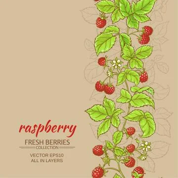 Raspberry vector background Stock Illustration