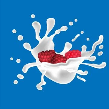 Raspberry vector drawing. Fruit beverage. Splashes of milk in abstract style  Stock Illustration