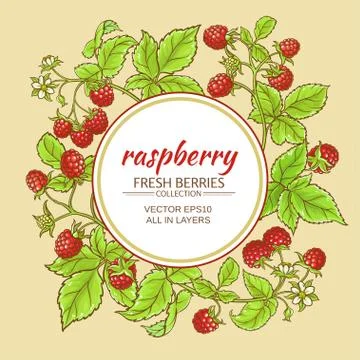 Raspberry vector frame 스톡 일러스트