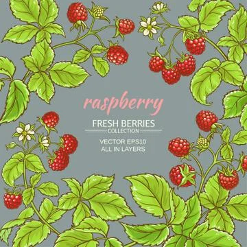 Raspberry vector frame Stock Illustration