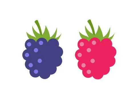 Raspberry vector icon illustration. Flat berry sweet healthy organic fruit Illustrazione stock