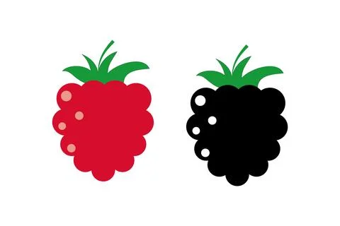 Raspberry vector icon illustration. Flat berry sweet healthy organic fruit イラスト素材