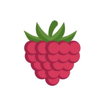 Raspberry vector icon isolated on white background, flat, cartoon style. For  Illustrazione stock