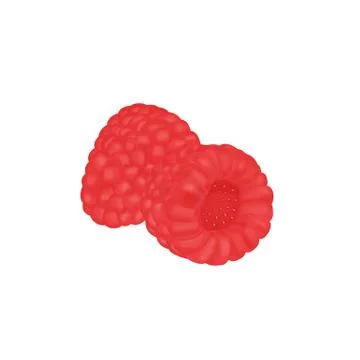 Raspberry in vector イラスト素材