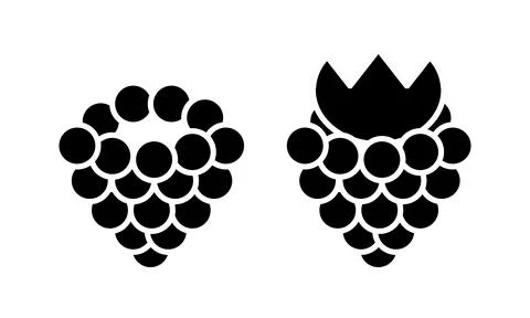 Raspberry, vector. 스톡 일러스트