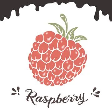 Raspberry vector illustration, berry clipart. Raspberry vintage vector Stock Illustration