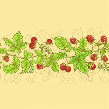 Raspberry vector pattern Stock Illustration