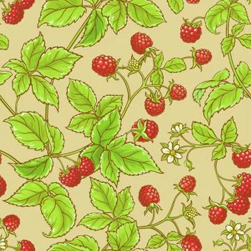 Raspberry vector pattern Stock Illustration