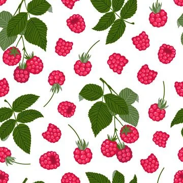 Raspberry vector seamless pattern. Sweet red forest berries and branches with Illustrazione stock