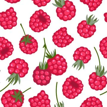 Raspberry vector seamless pattern. Sweet red berries isolated on white. Juicy Stock Illustration
