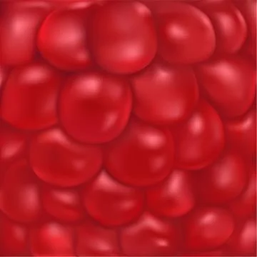 Raspberry vector texture Stock Illustration