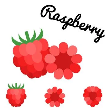 Raspberry Vector.flat design Stock Illustration