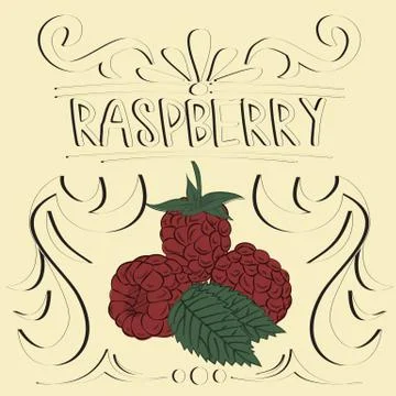 Raspberry vintage poster. Stock Illustration
