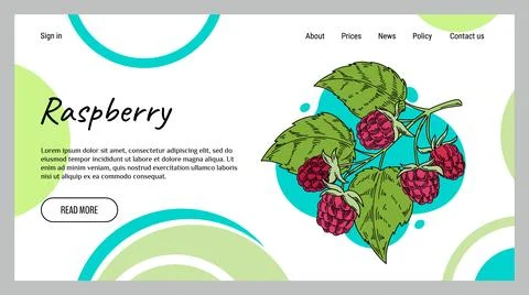 Raspberry web banner. Abstract background with botanical hand drawn sketch el Stock Illustration