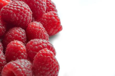 Raspberry - White Background with half side negative space Stock Photos