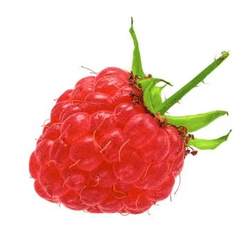 Raspberry on white background isolate Stock Photos