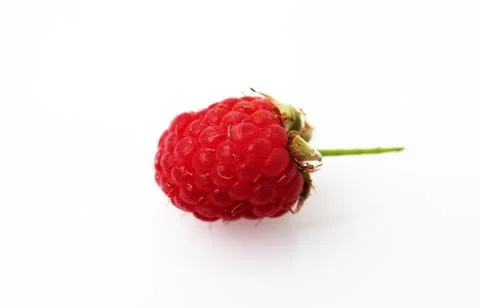 Raspberry on white background macro Foto stock