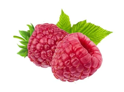 Raspberry on a white background 스톡 사진