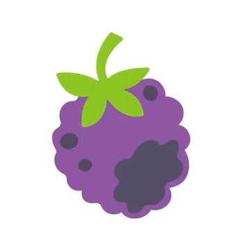 Raspberry on white background. Vector illustration in trendy flat style. EPS 10. Stock Illustration