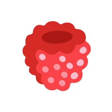 Raspberry on white background. Vector illustration in trendy flat style. EPS 10. Illustrazione stock