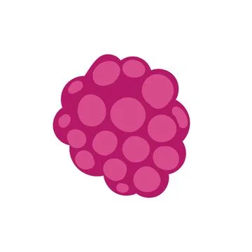 Raspberry on white background vector illustration Stock Illustration