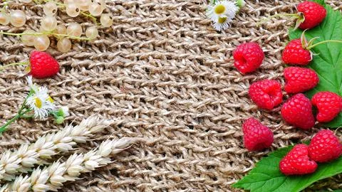 Raspberry, white currant, spikelets of wheat, wildflowers. Stock Photos