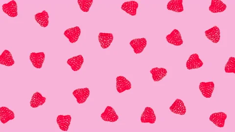 Raspberry wiggle on pink Stock Footage 147890171
