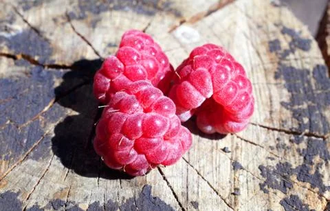 Raspberry on wooden background macro Stock Photos