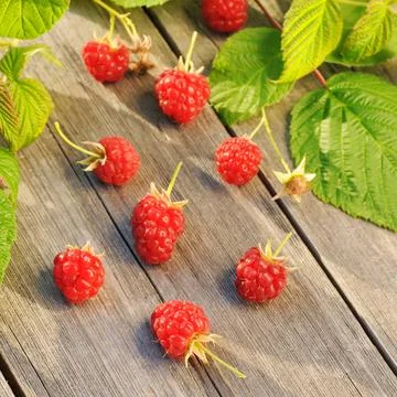 Raspberry on wooden table Raspberry with leafs on wooden table Copyright: ... Foto stock