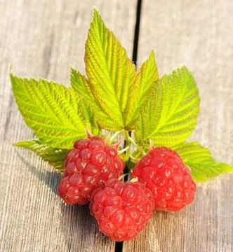 Raspberry on wooden table Raspberry with leafs on wooden table Copyright: ... Foto stock