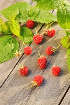 Raspberry on wooden table Raspberry with leafs on wooden table Copyright: ... Foto stock