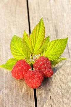 Raspberry on wooden table Raspberry with leafs on wooden table Copyright: ... Foto stock