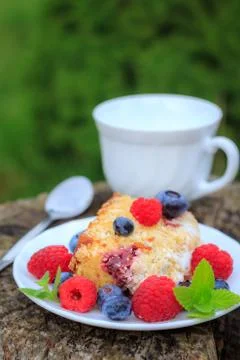 Raspberry yoghurt cake Stock Photos